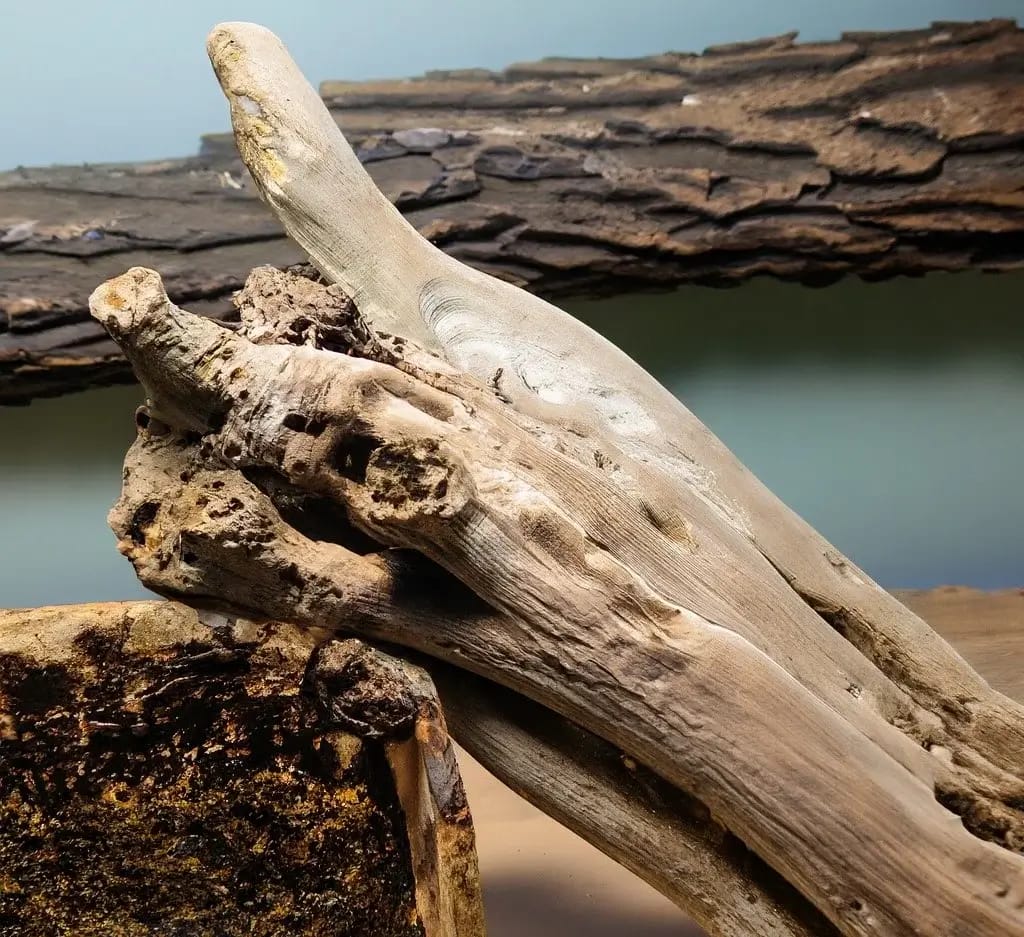 How To Clean Large Driftwood For Aquarium