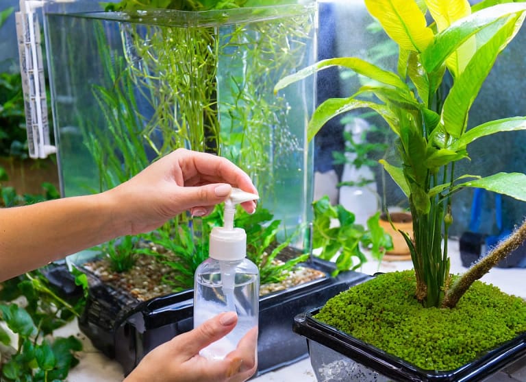 How to Sanitize Aquarium Plants