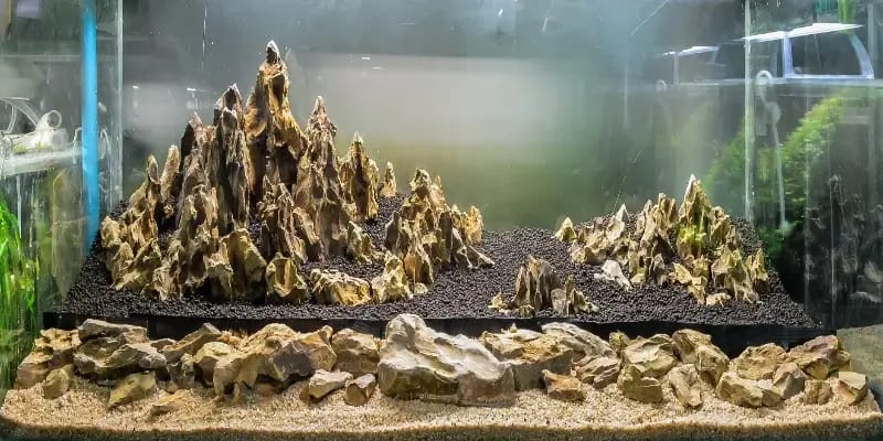 What Is the Difference Between Play Sand and Aquarium Sand